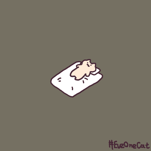  GIFs | EveOneCat