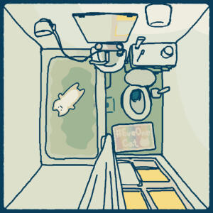  GIFs | EveOneCat