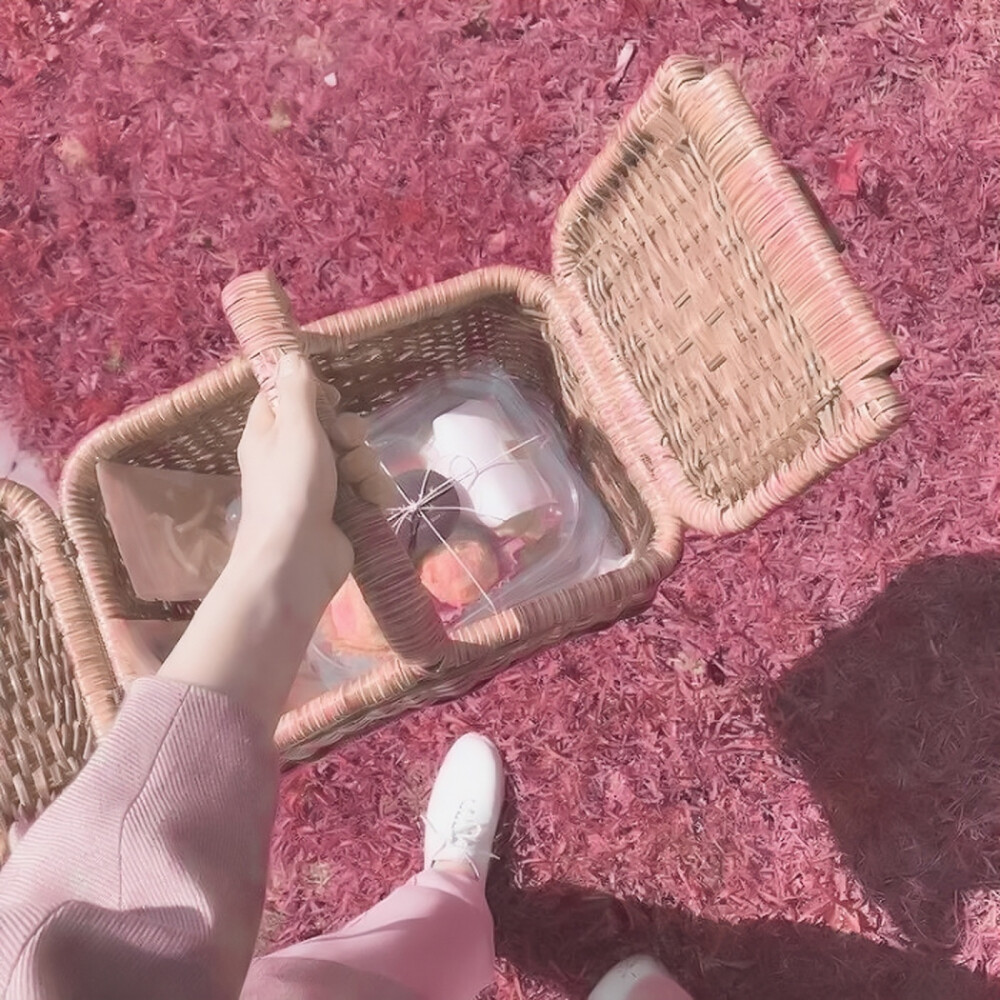  樱花树和春天：Cerisier et printemps