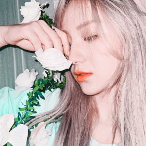 这里的感动绝无仅有