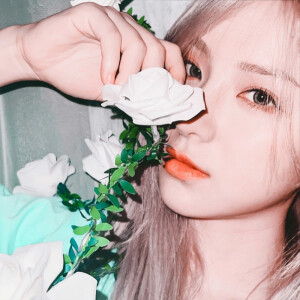 这里的感动绝无仅有