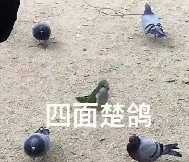 搞笑 表情图