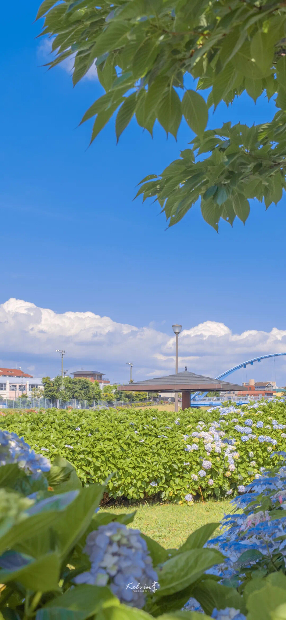 风景 - 堆糖，美图壁纸兴趣社区