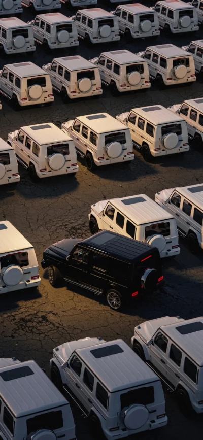 壁纸
二传@安额额额子