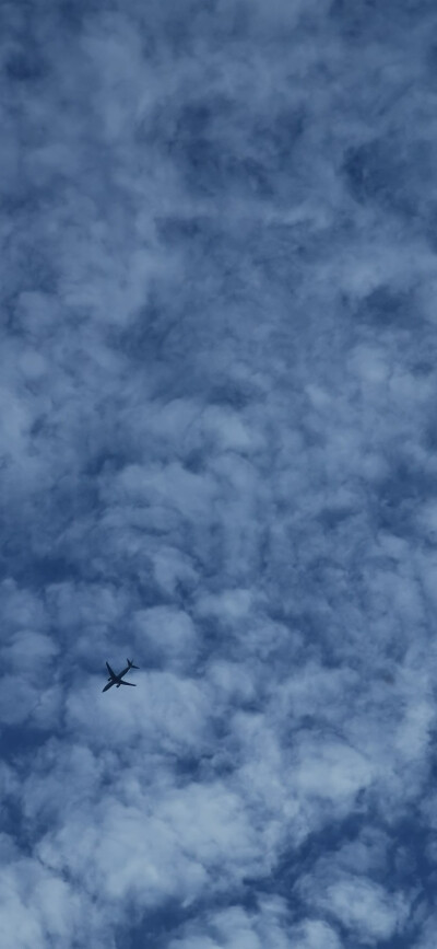 飞机掠过天空
