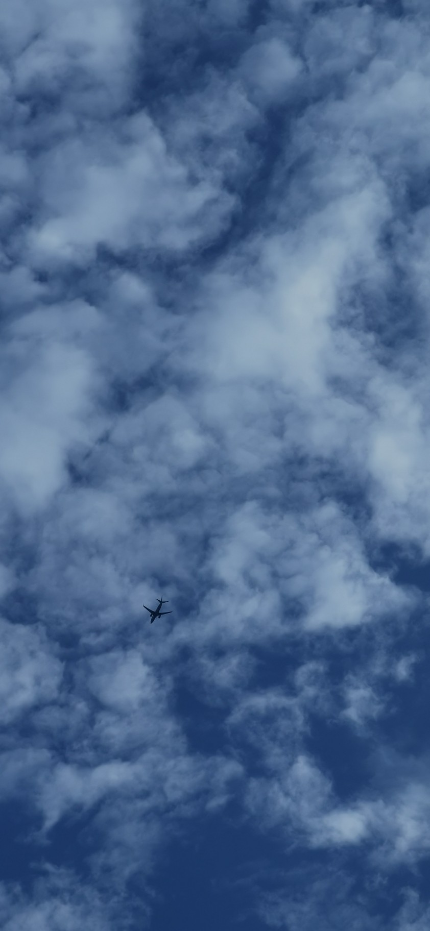 飞机掠过天空
