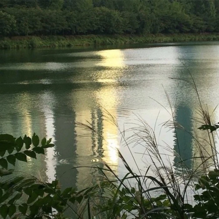 「孙胜完/Wendy」改，看简介
已打底降噪，改了d