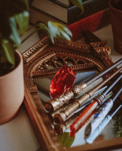 赫奇帕奇·背景图