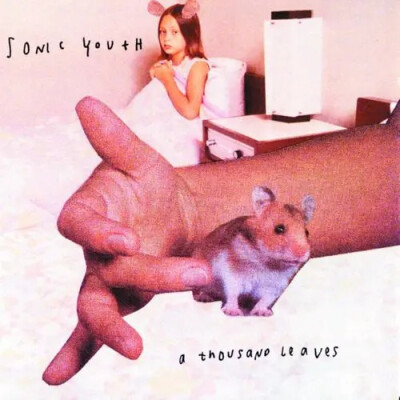 sonic youth