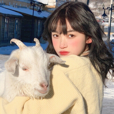 见简介