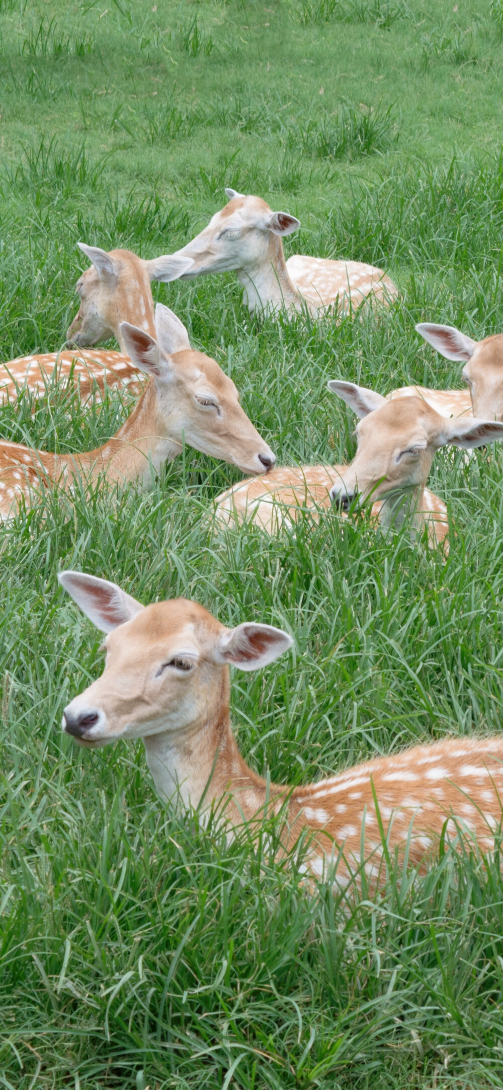 然而世事千帆而过，路的尽头终会是温柔和月光。
