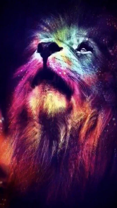 是因我们太年轻，不能够坚持自己，还是诺言太软弱，经不起闲言碎语？
寂寞是一条波澜不惊的小溪，它甚至掀不起一个浪花。然而它却蕴育着可能成为飞瀑的希望，渗透着奔向大海的理想
独自走在深夜无人的街，我的世界仍…