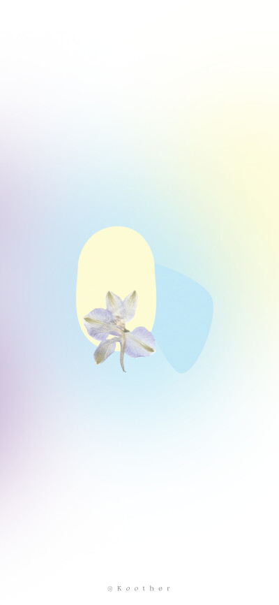 *Floral
壁纸