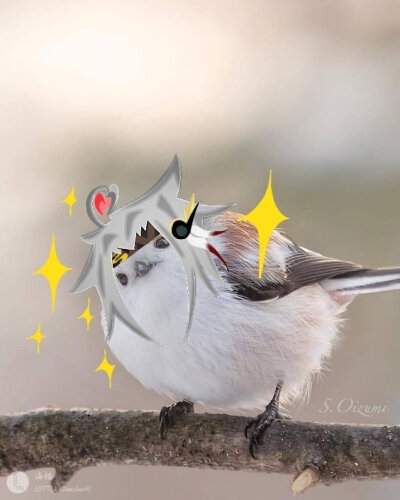 杨玉环曜王昭君