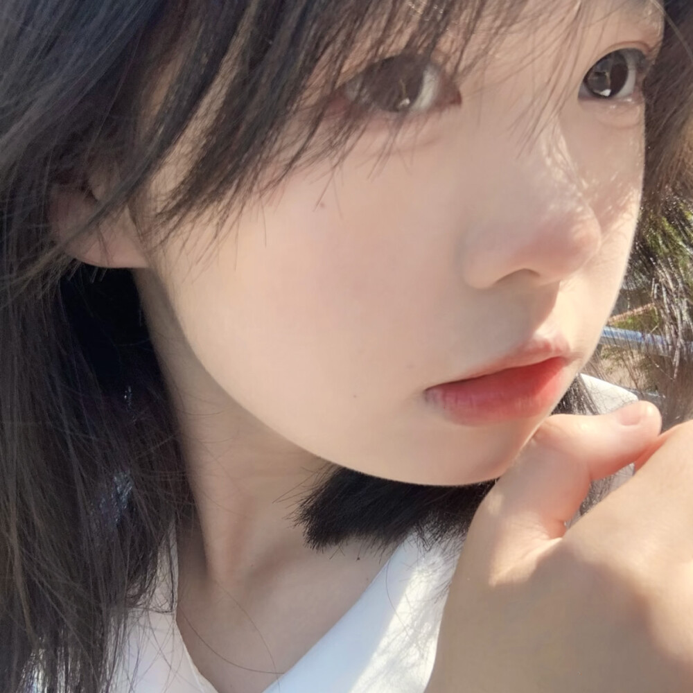 宋诗文
