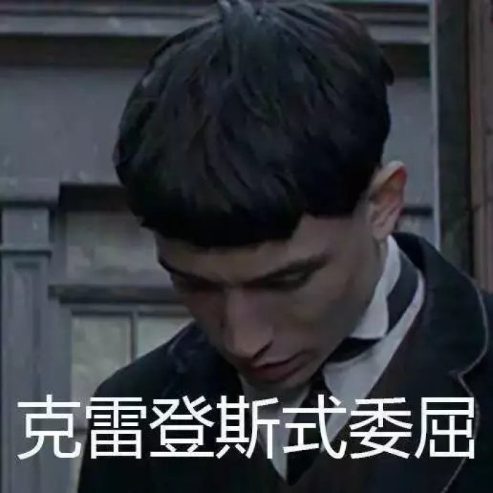 哈利波特表情包