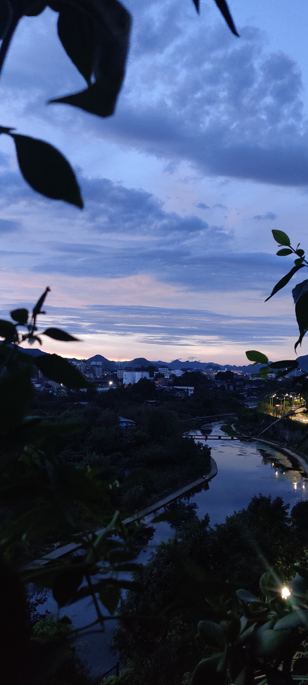 晚霞和花