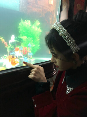 鞠婧祎