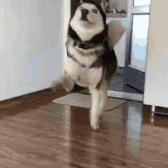 狂放