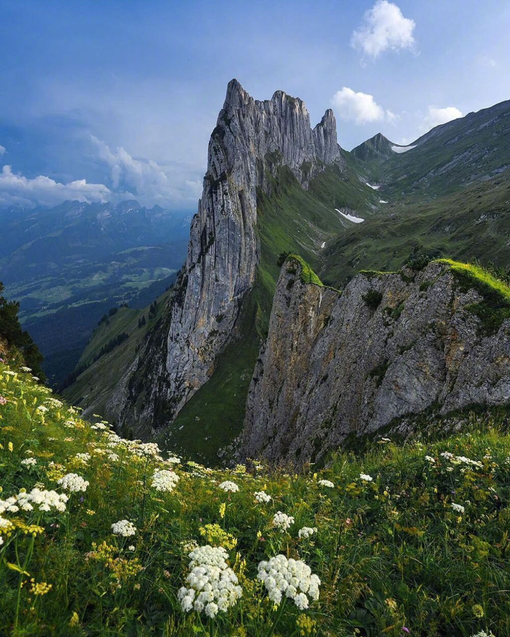 山间荼靡