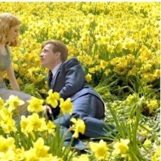 一组不容易撞的情头，自截情头@Lydia
礼貌拿图，谢谢