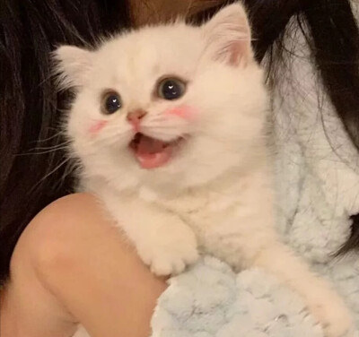 转载自网络