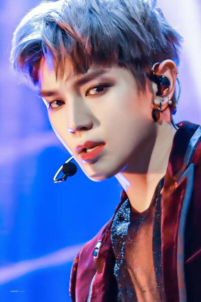 李泰容