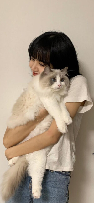 Lisa壁纸