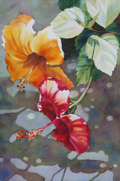 Anne Abgott的水彩花卉作品。| Anne 出生在加拿大，曾任弗罗里达州水彩协会的主席，出版过《Daring Color》一书