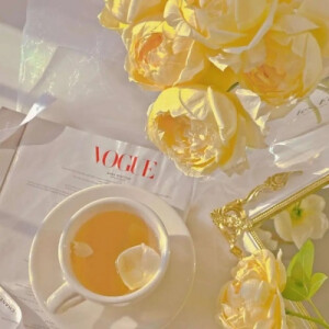 玫瑰背景图  | 我将玫瑰藏于身后，时刻期盼着与你赴约