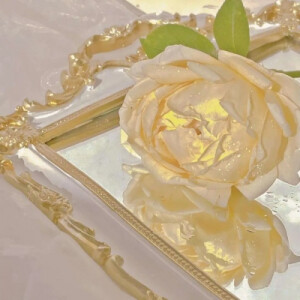 玫瑰背景图  | 我将玫瑰藏于身后，时刻期盼着与你赴约