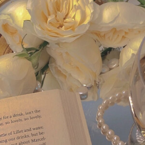 玫瑰背景图  | 我将玫瑰藏于身后，时刻期盼着与你赴约