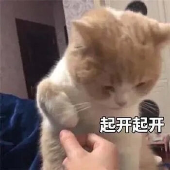 猫咪表情包
#侵权删