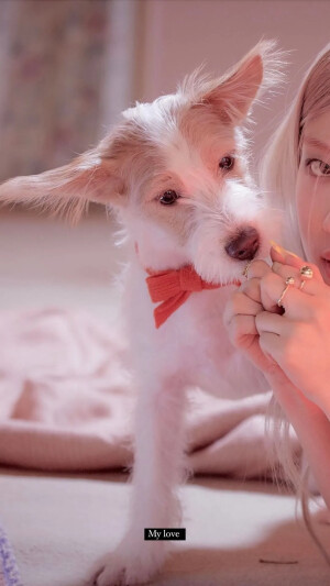 爱了爱了！！！