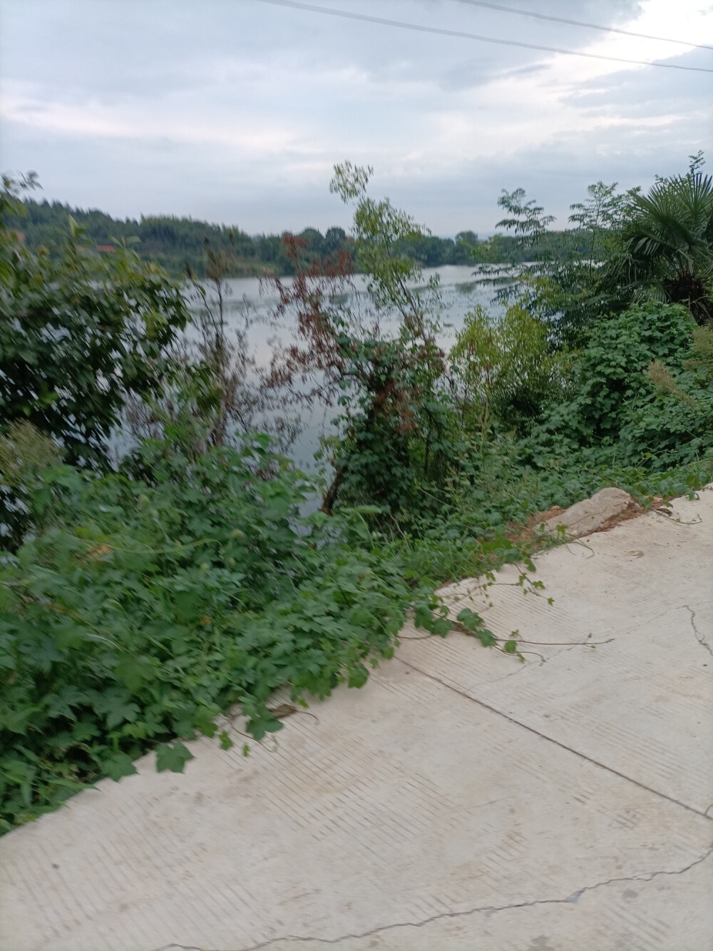 家乡的偶遇大自然的回馈，保护环境，珍惜当下！