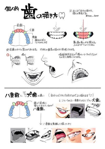 人体部分易错素材