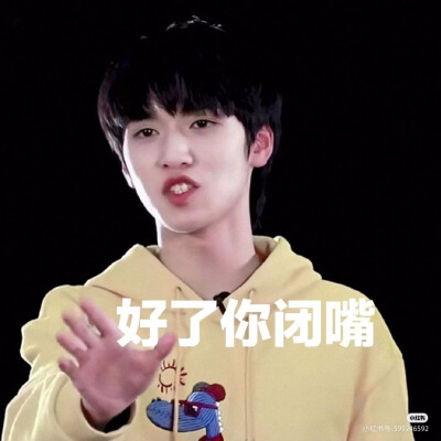 时代少年团表情包