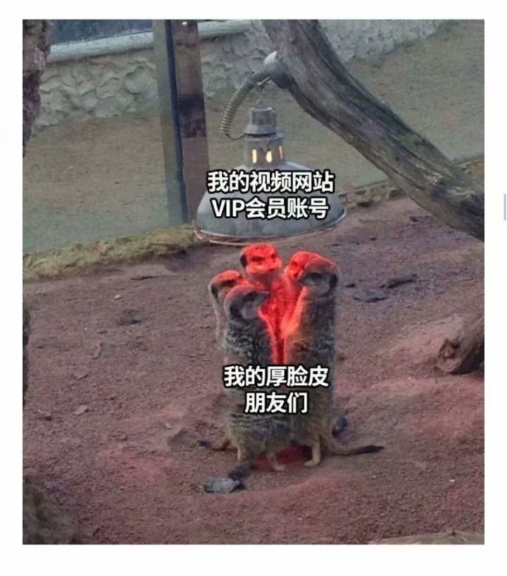 沙雕