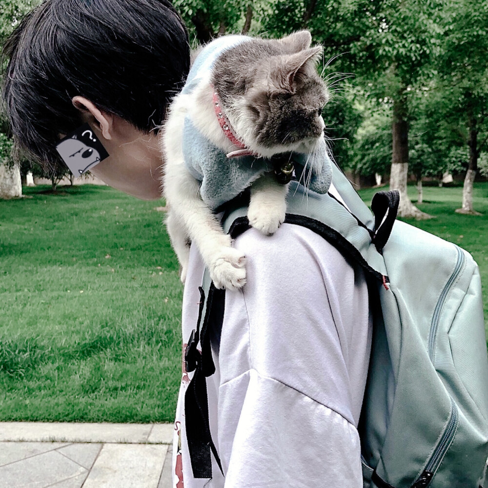 治愈我的永远是这首歌