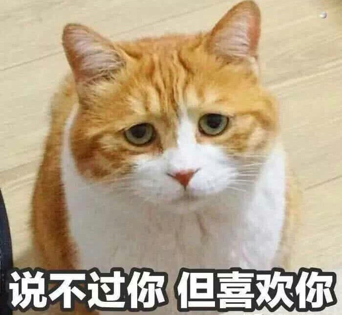 表情包