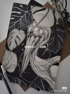 黑白画
