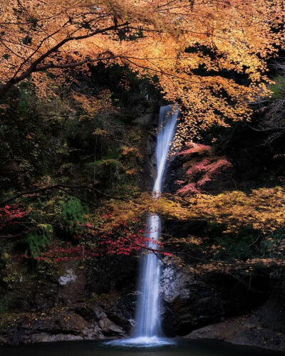 摄影师Shingo来自日本，他喜爱和珍惜本土的景色和风物，擅长表现传统景色的美。
