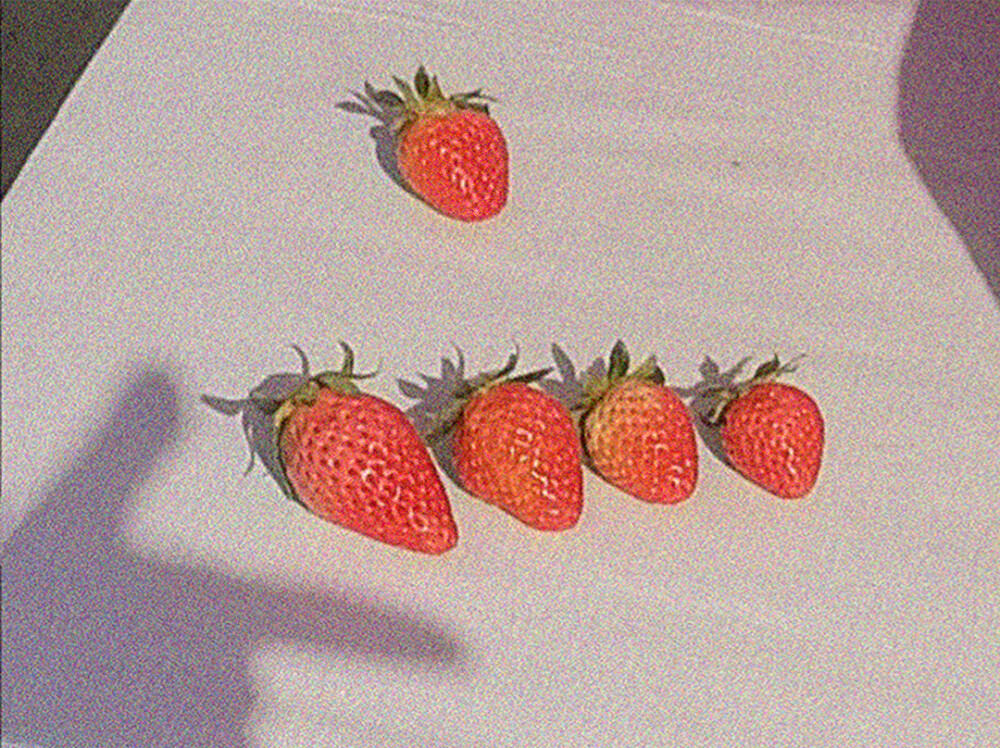 又快要到可以吃草莓的季节了。