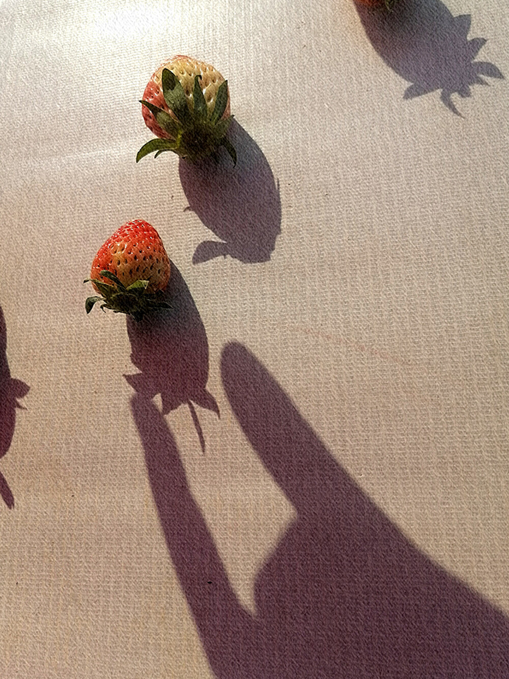 又快要到可以吃草莓的季节了。