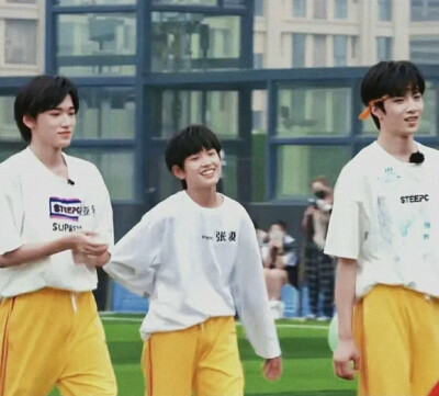 TF家族