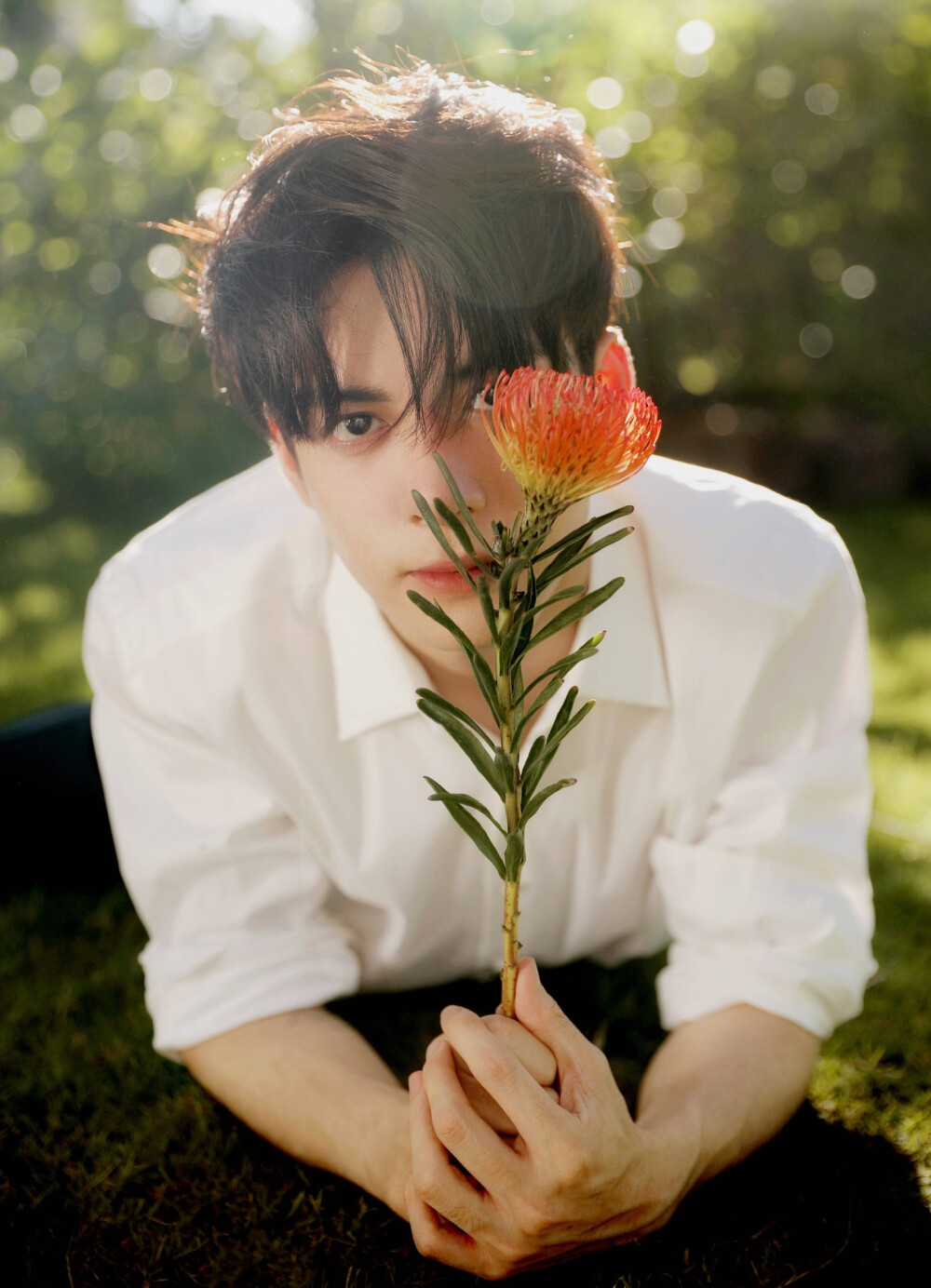 曾舜晞 - 高清图片,堆糖,美图壁纸兴趣社区