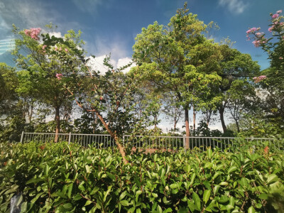 热爱～
努力～
坚持！