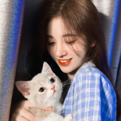 抱猫｜鞠婧祎