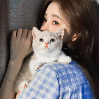 抱猫｜鞠婧祎