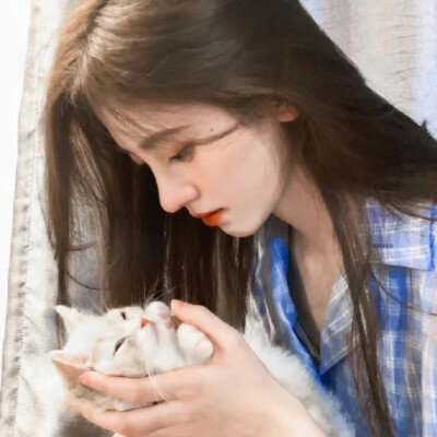 抱猫｜鞠婧祎